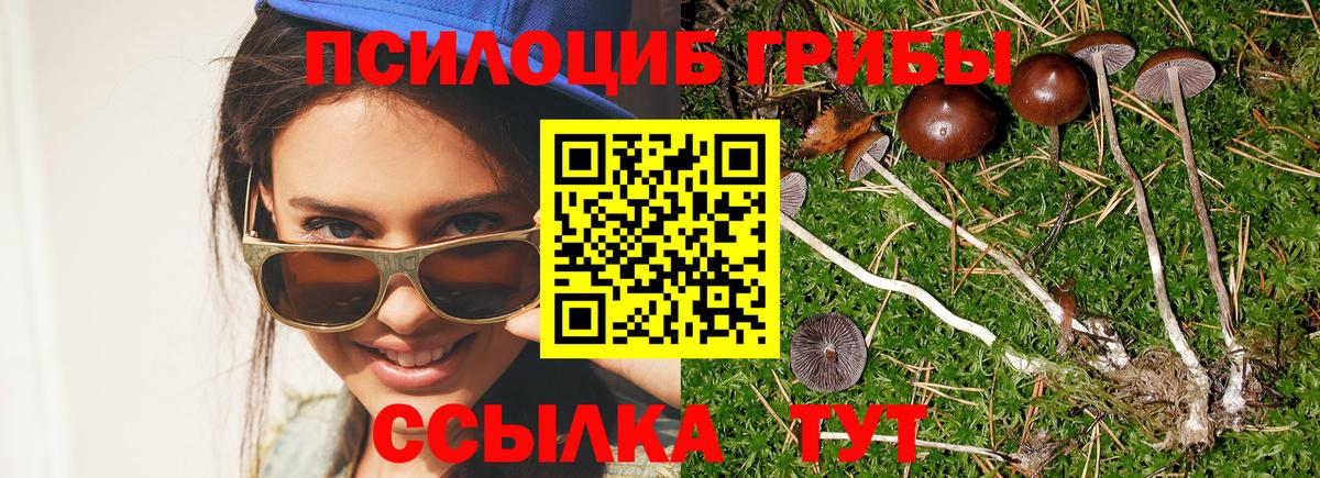 Балтийск  Псилоцибиновые грибы GOLDEN TEACHER  Вход с VPN 