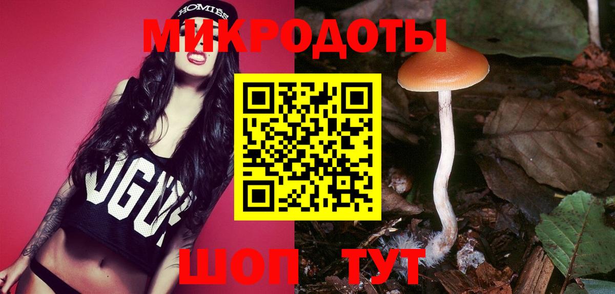 Галлюциногенные грибы MAGIC MUSHROOMS Балтийск
