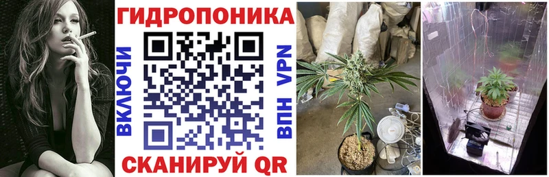 blacksprut tor  Балтийск  Каннабис OG Kush 